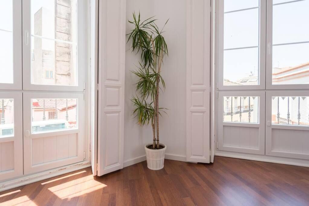 Sunny Apartment *